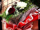 Салон цветов, магазин