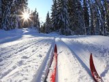 Главная лыжная трасса